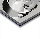 Silhouette of Strength Collection 1 - The Artful Mane 64 Impression Acrylique