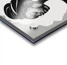 Silhouette of Strength Collection 1 - The Artful Mane 65 Acrylic print