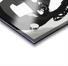 Silhouette of Strength Collection 1 - The Artful Mane 66 Acrylic print