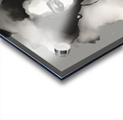 Silhouette of Strength Collection 1 - The Artful Mane 67 Impression Acrylique