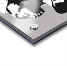 Silhouette of Strength Collection 2 - The Artful Mane 1 Acrylic print