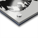 Silhouette of Strength Collection 2 - The Artful Mane 6 Acrylic print