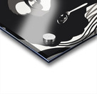 Silhouette of Strength Collection 2 - The Artful Mane 7 Acrylic print