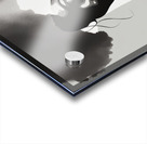 Silhouette of Strength Collection 2 - The Artful Mane 11 Acrylic print