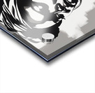 Silhouette of Strength Collection 2 - The Artful Mane 14 Acrylic print