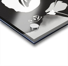 Silhouette of Strength Collection 2 - The Artful Mane 16 Acrylic print