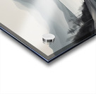 A Touch of Color: Celebrating Hue at The Artful Mane 4 Acrylic print