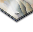 A Touch of Color 2: Celebrating Hue at The Artful Mane 54 Acrylic print