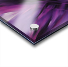 The Purle Aurora 1 Acrylic print