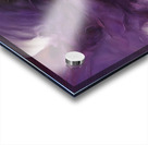 The Purle Aurora 7 Acrylic print