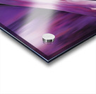 The Purle Aurora 8 Acrylic print