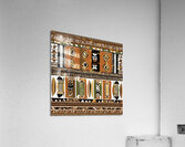 Roots Reimagined 4k Acrylic Print