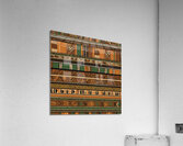 Roots Reimagined 1a 11 Acrylic Print