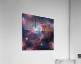 TAME Gallery 1 2 Acrylic Print