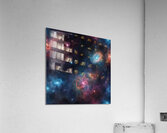 TAME Gallery 1 7 Acrylic Print