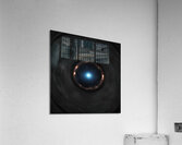 TAME Gallery 1 8 Acrylic Print