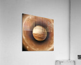 TAME Gallery 1 21 Acrylic Print