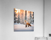 Winter Wonderland & Christmas Celebration 22 Acrylic Print