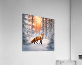 Winter Wonderland & Christmas Celebration 37 Acrylic Print