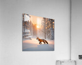 Winter Wonderland & Christmas Celebration 45 Acrylic Print