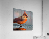 Introspective. Acrylic Print