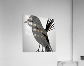 Memorized. Cardinal. Acrylic Print