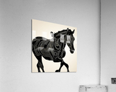 Sampson. Horse. Acrylic Print