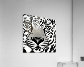 Cat Eyes 1 Acrylic Print