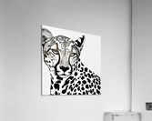 Alert. Line Art. Impression acrylique