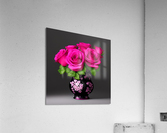 Vase of Limitless Love - * Limited Edition * Acrylic Print