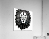 Leo. Horse. Line Art. Acrylic Print