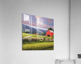 Farm Life 3 Acrylic Print