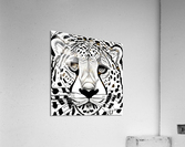 Initiated - Line Art Acrylic Print