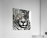 Guarded. Acrylic Print