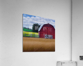 Farm Life 4 Acrylic Print