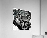 Agitated. Acrylic Print