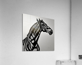 Jackson. Black Stallion. Impression acrylique