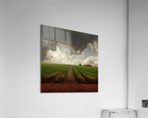 Transitions Acrylic Print