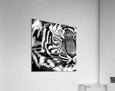 Tranced. Acrylic Print