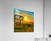 A Day of Reflection Acrylic Print