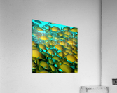 Infiltrated.  Acrylic Print