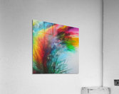 Ambition. Abstract. Acrylic Print