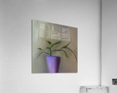 Rooted. Acrylic Print