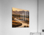 The Artful Gallery 1 Acrylic Print