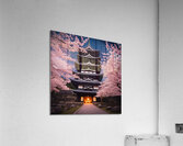 The Artful Gallery 6 Acrylic Print