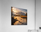 The Artful Gallery 19 Acrylic Print