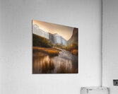 The Artful Gallery 23 Acrylic Print