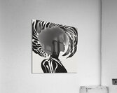 Silhouette of Strength Collection 1 - The Artful Mane 8 Acrylic Print