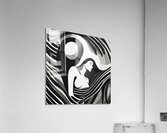 Silhouette of Strength Collection 1 - The Artful Mane 38 Acrylic Print