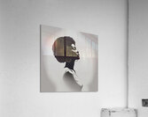 Silhouette of Strength Collection 1 - The Artful Mane 50 Acrylic Print